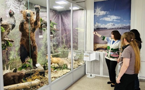 Краеведческий центр «МузеУМ»